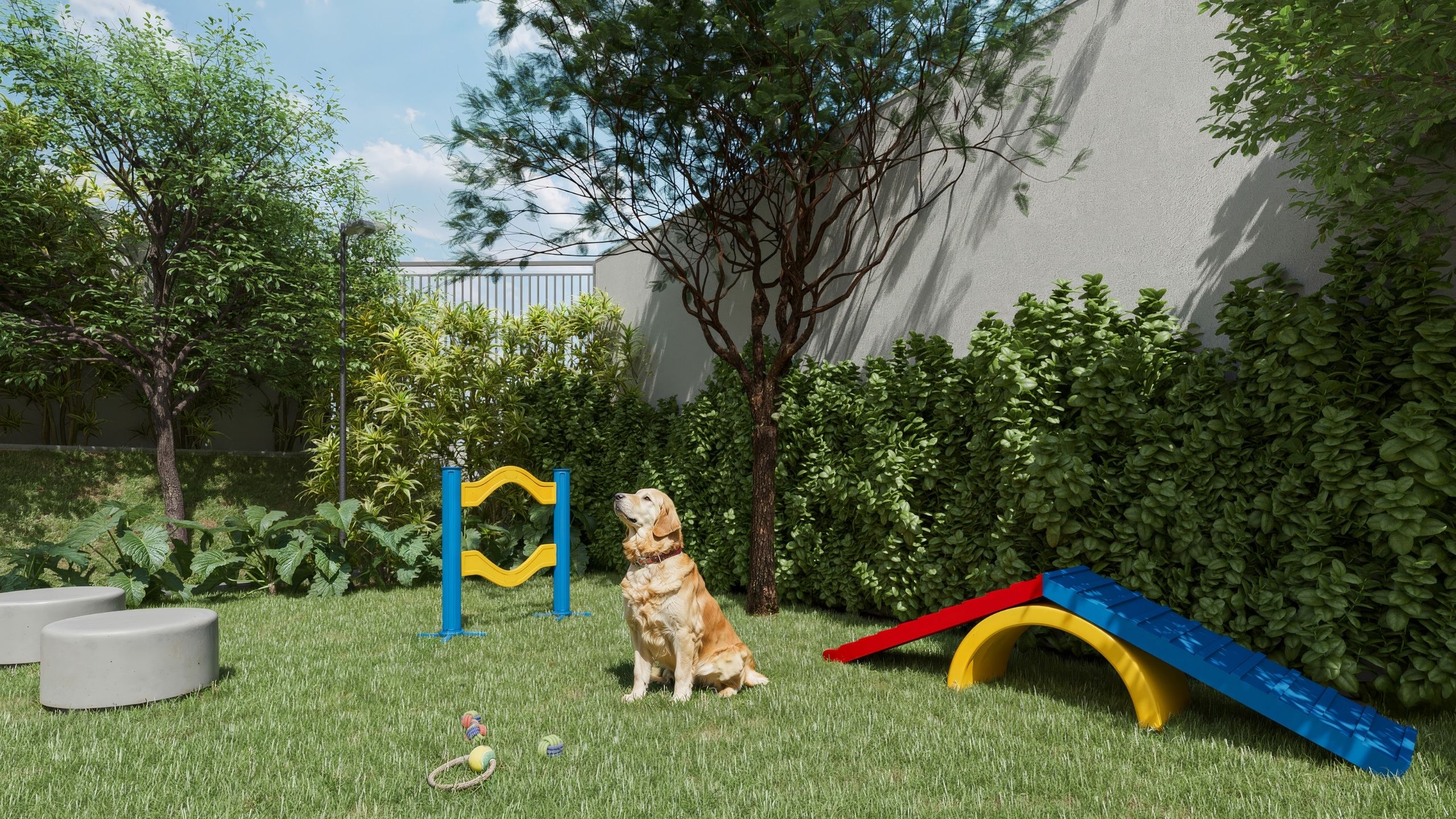 pet place